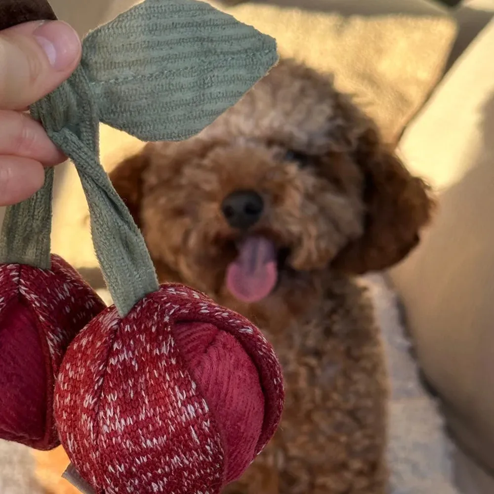 Cherry Pop Set of 2 Pcs Dog Toy