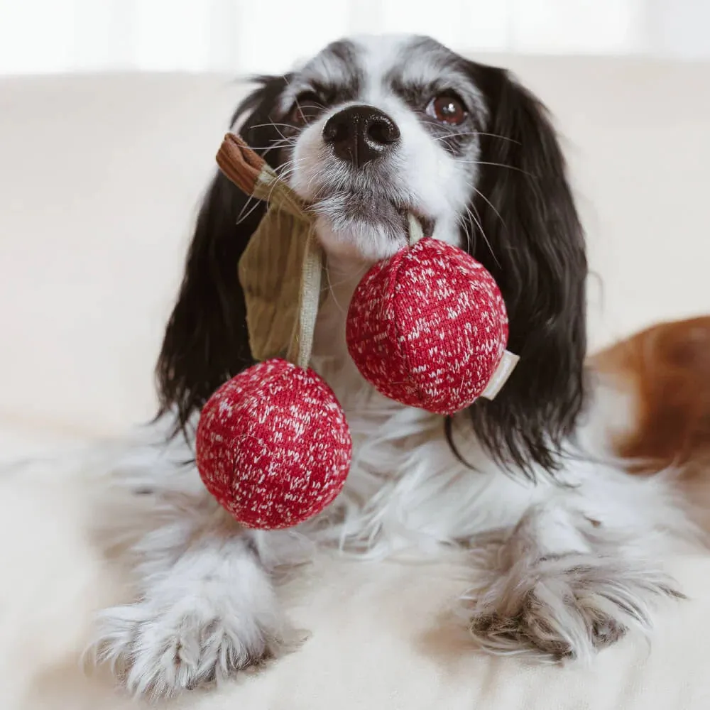 Cherry Pop Set of 2 Pcs Dog Toy