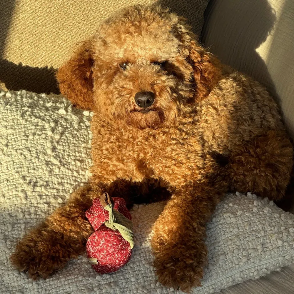 Cherry Pop Set of 2 Pcs Dog Toy