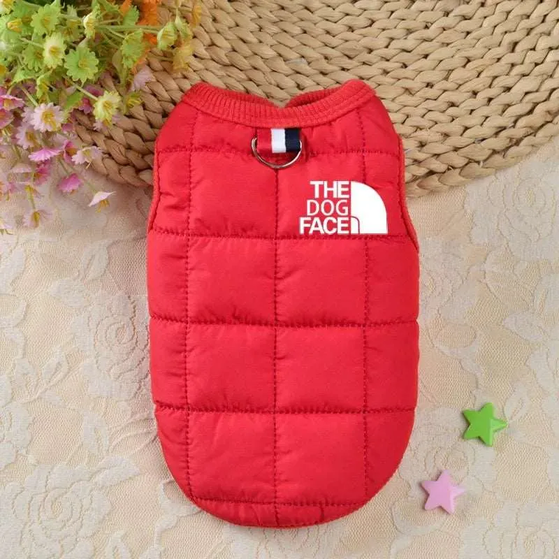 Designer Winter Dog Coat – Warm & Trendy for Small to Medium Dogs