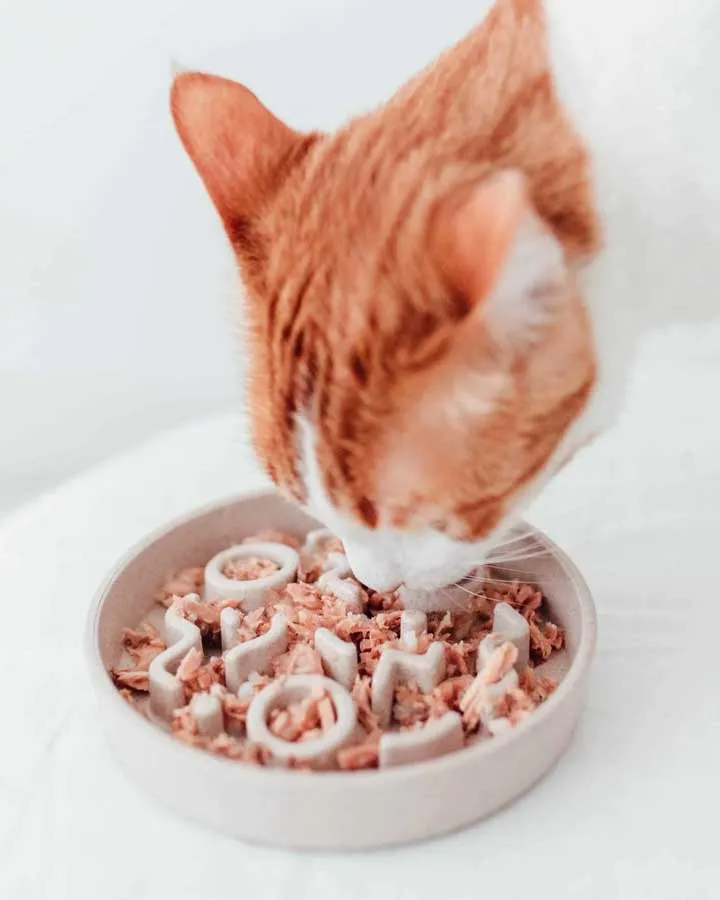 District 70 Bamboo Slow Feeder - Cat - Merengue