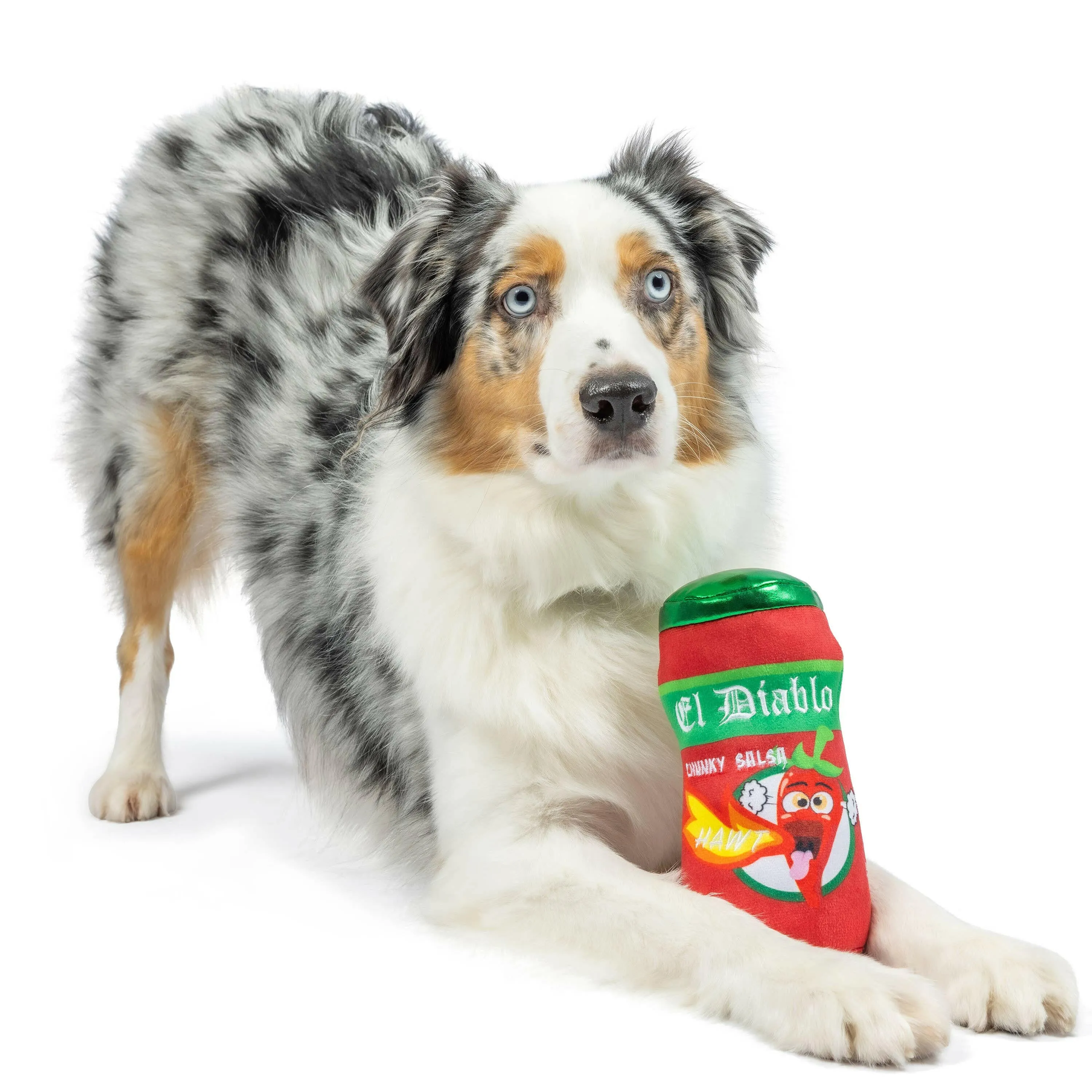 El Diablo Spicy Salsa Dog Toy