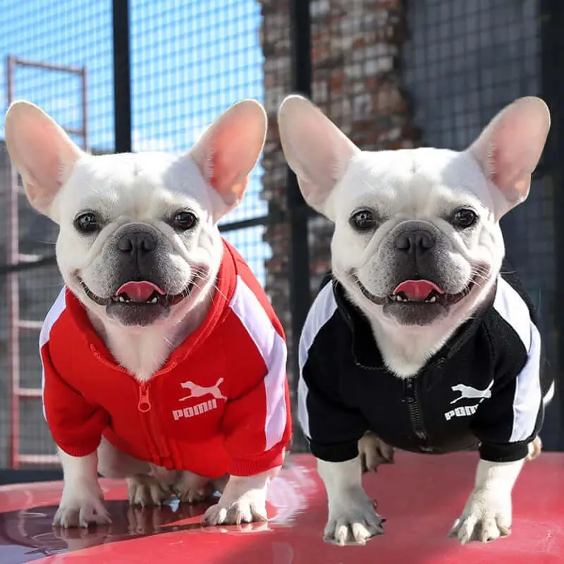 Fashion Dog Sweatshirt Clothes