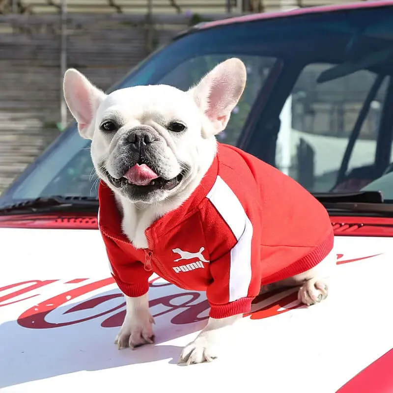 Fashion Dog Sweatshirt Clothes