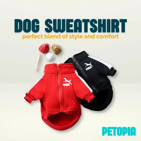 Fashion Dog Sweatshirt Clothes