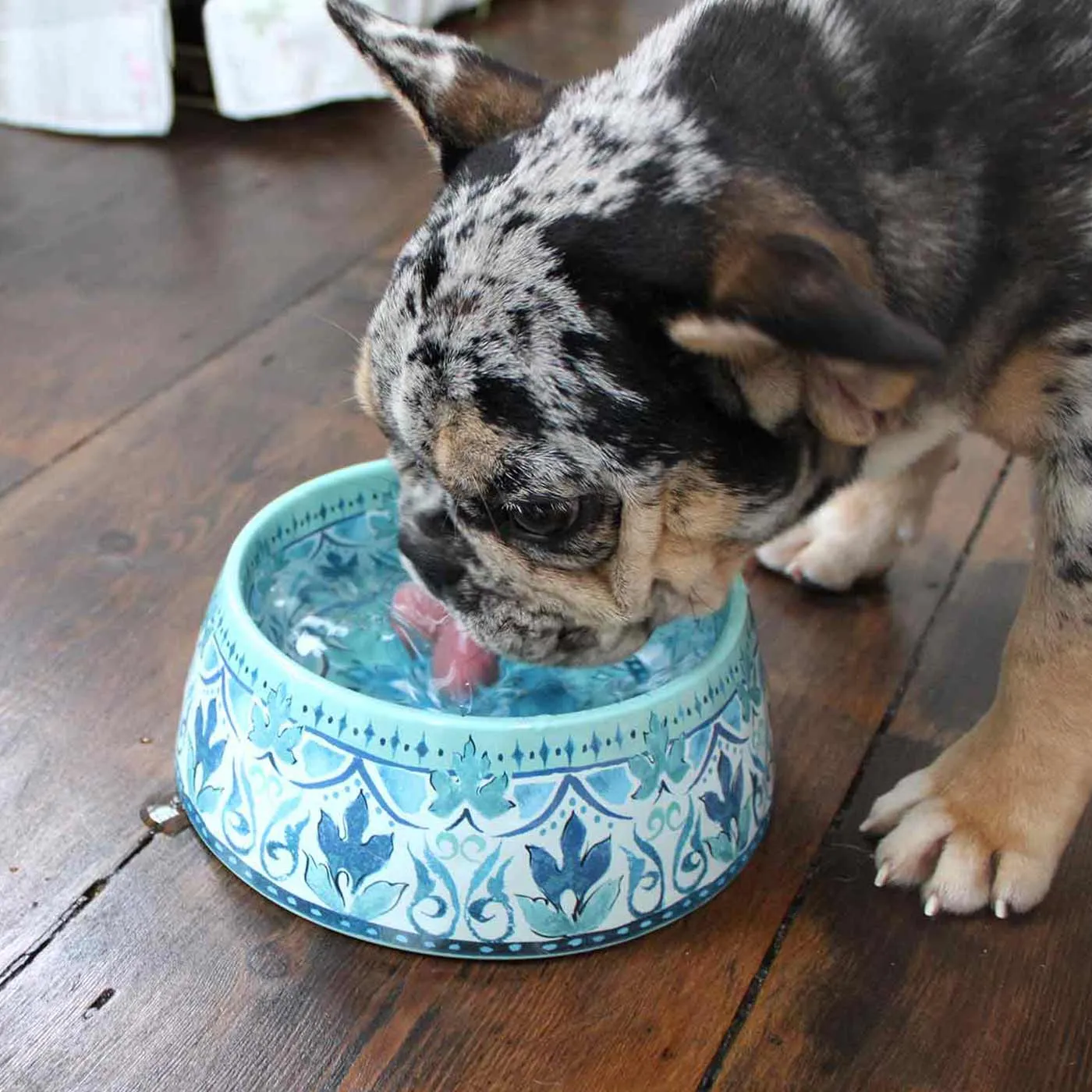 Gibraltar Pet Bowl