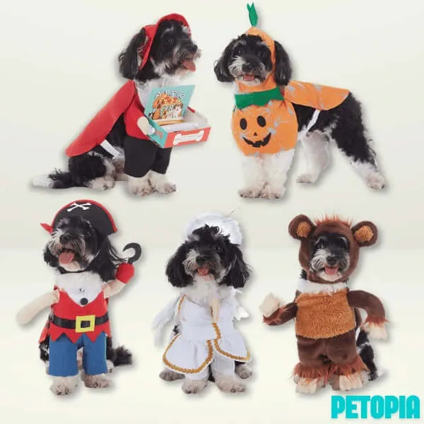 Halloween Dog Costumes - Purplish Blue Thor