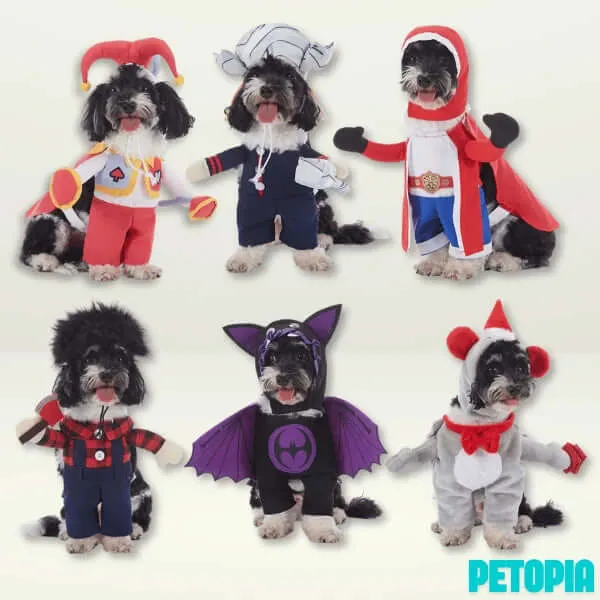 Halloween Dog Costumes - Purplish Blue Thor