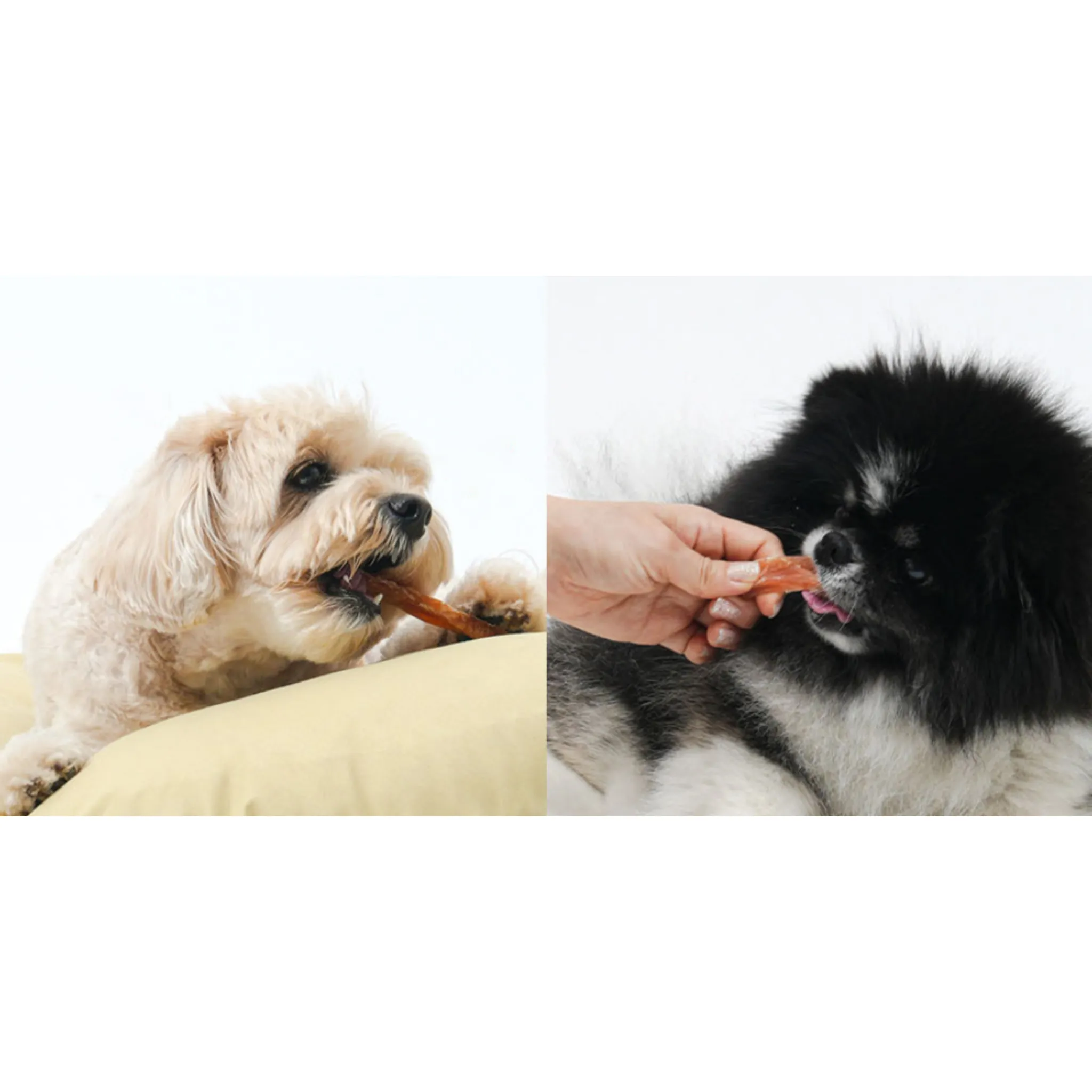 Homemade Healthy Jerky Treats for Dogs, Chicken Breast, 100g, Pack of 3 - Dried Snacks/Jerky - 🏆 #29 - Pet Supplies - Best of December