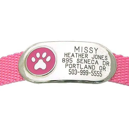 Jewelry Collar Tag - Paw