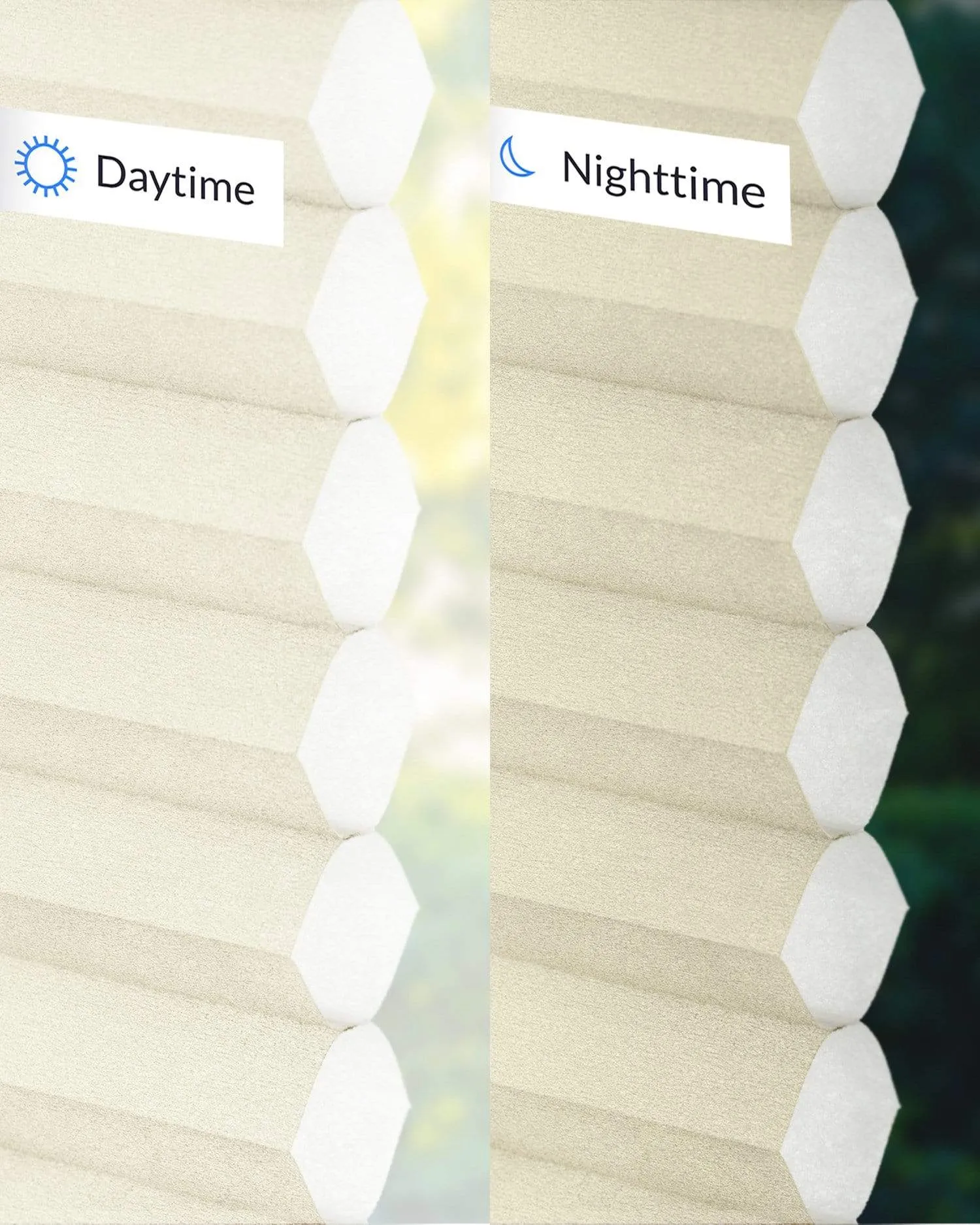Light Filtering | Custom Insulating Honeycomb | Premium Everest