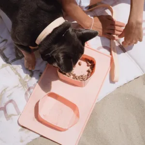Maxbone - GO! Portable Bowls