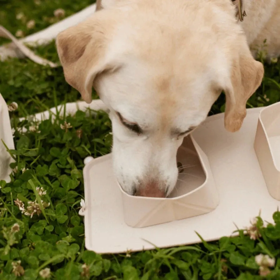 Maxbone - GO! Portable Bowls