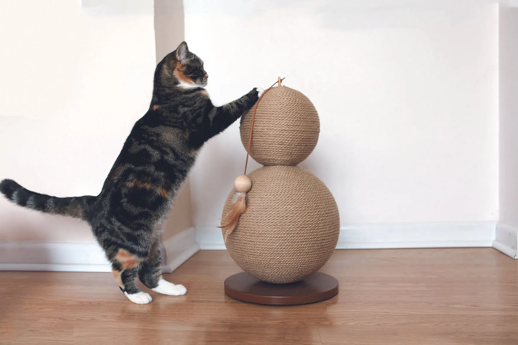 Natural Cat Scratcher: Coriander