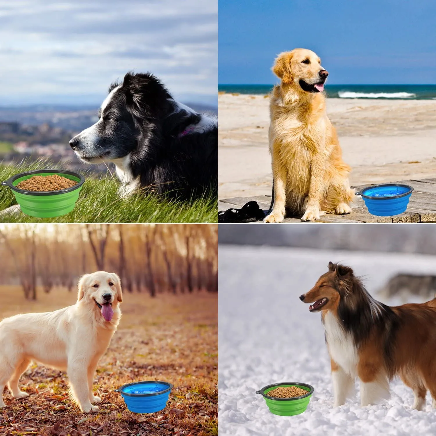 Portable & Collapsible Dog Bowls For Travel