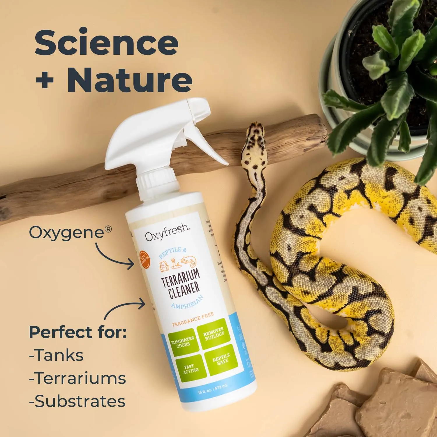Premium Terrarium Cleaner - Best Reptile & Amphibian Habitat Cleaner
