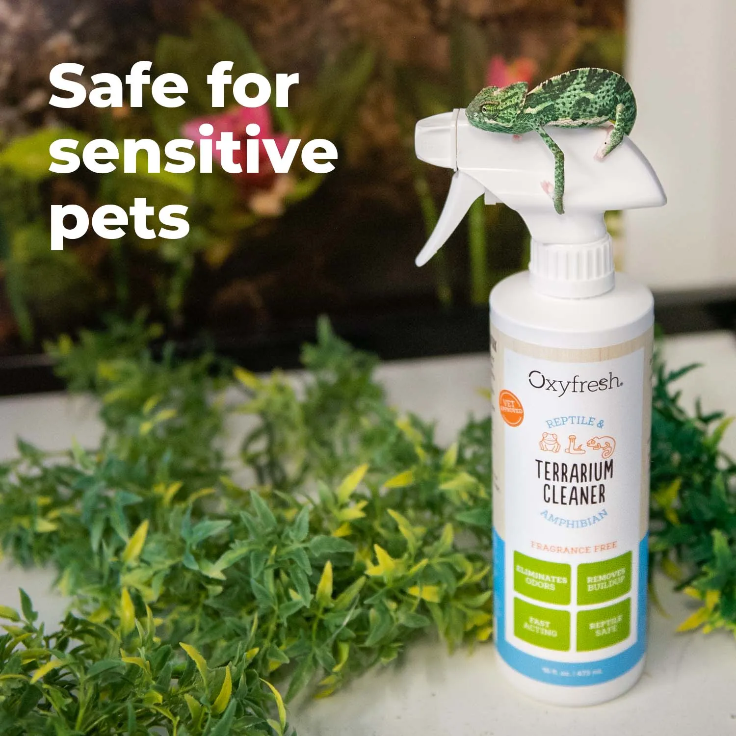 Premium Terrarium Cleaner - Best Reptile & Amphibian Habitat Cleaner