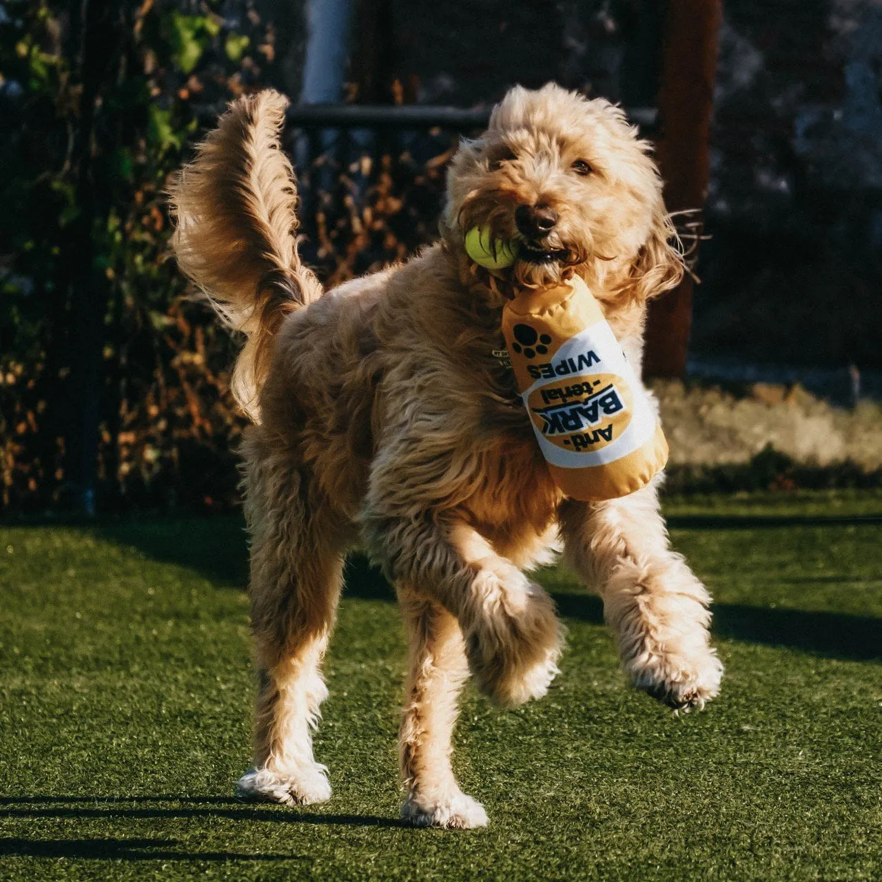 Pronk! Pets Pronk! anti-BARK-terial Wipes Bottle 14-Inch Durable Soft Plush Squeaky Rope Dog Toy