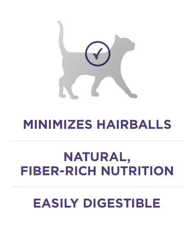Purina One Plus Hairball Formula 16lb