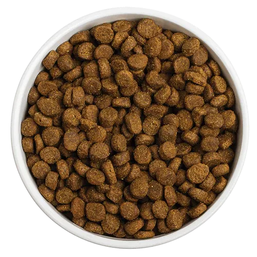 Redbarn Pet Products Grain-Free Land Recipe Dog Food