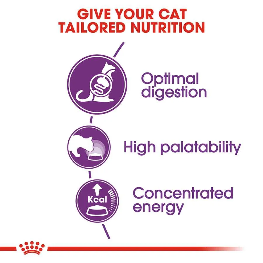 Royal Canin Adult Regular Sensible Digestion