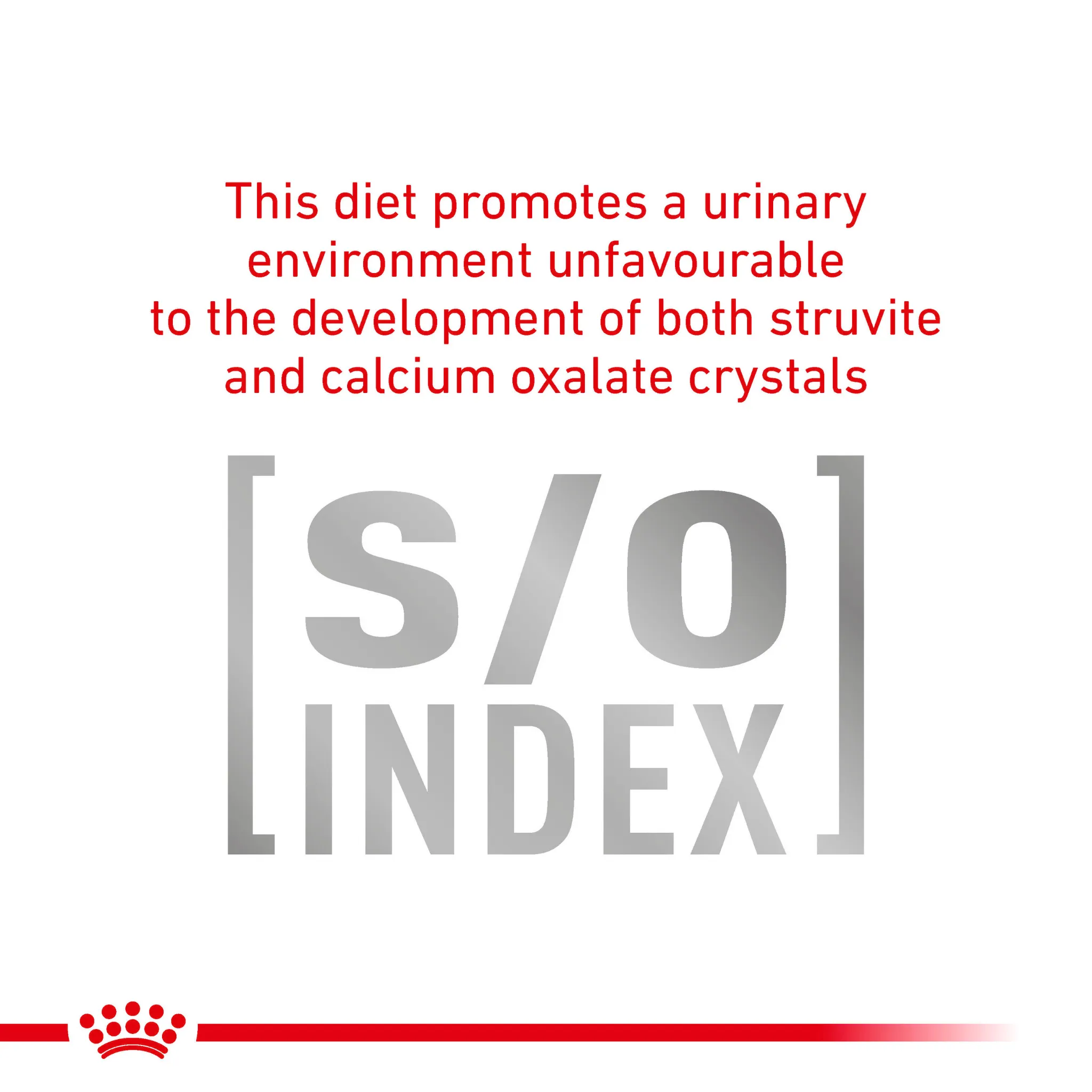 ROYAL CANIN® Gastrointestinal Fibre Response Adult Dry Cat Food