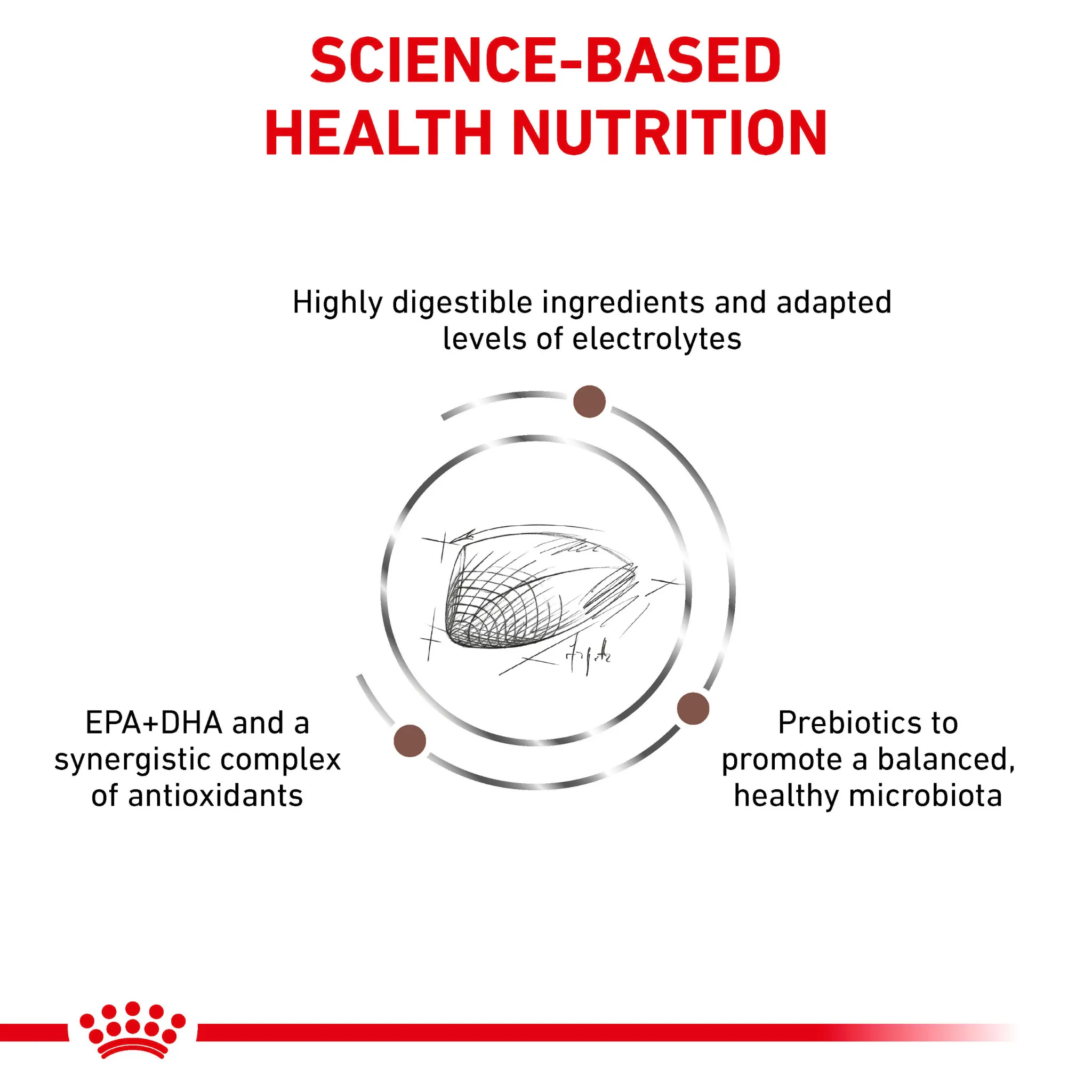 ROYAL CANIN® Gastrointestinal Fibre Response Adult Dry Cat Food