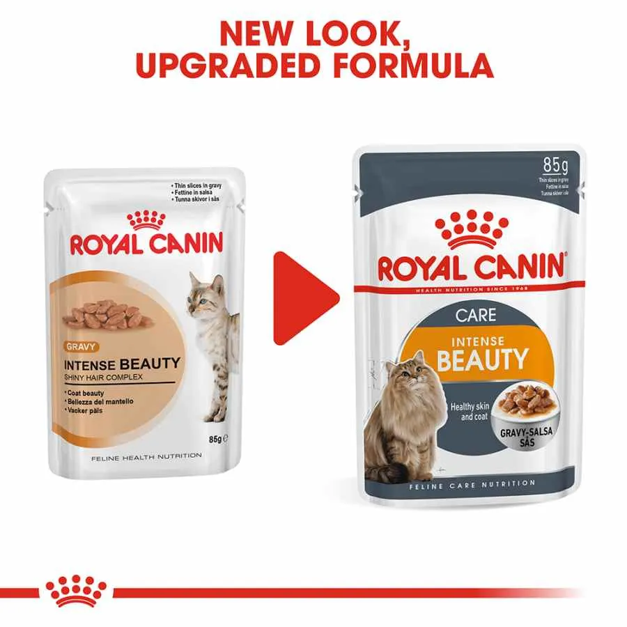 Royal Canin Intense Beauty in Gravy