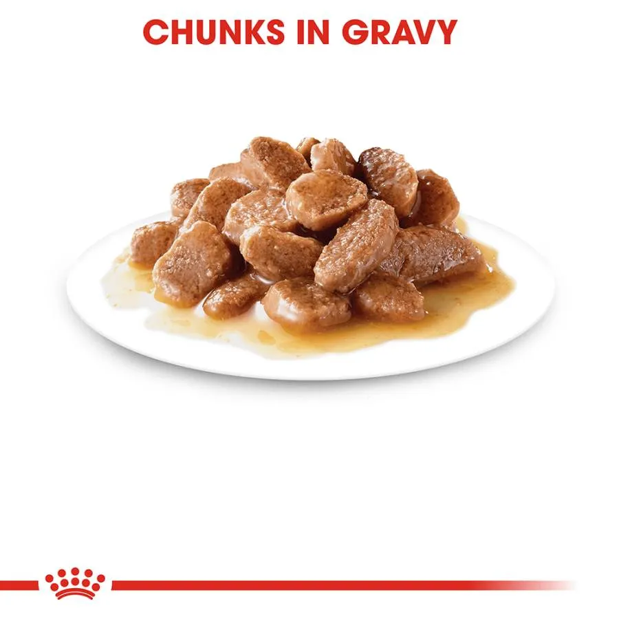 Royal Canin Intense Beauty in Gravy