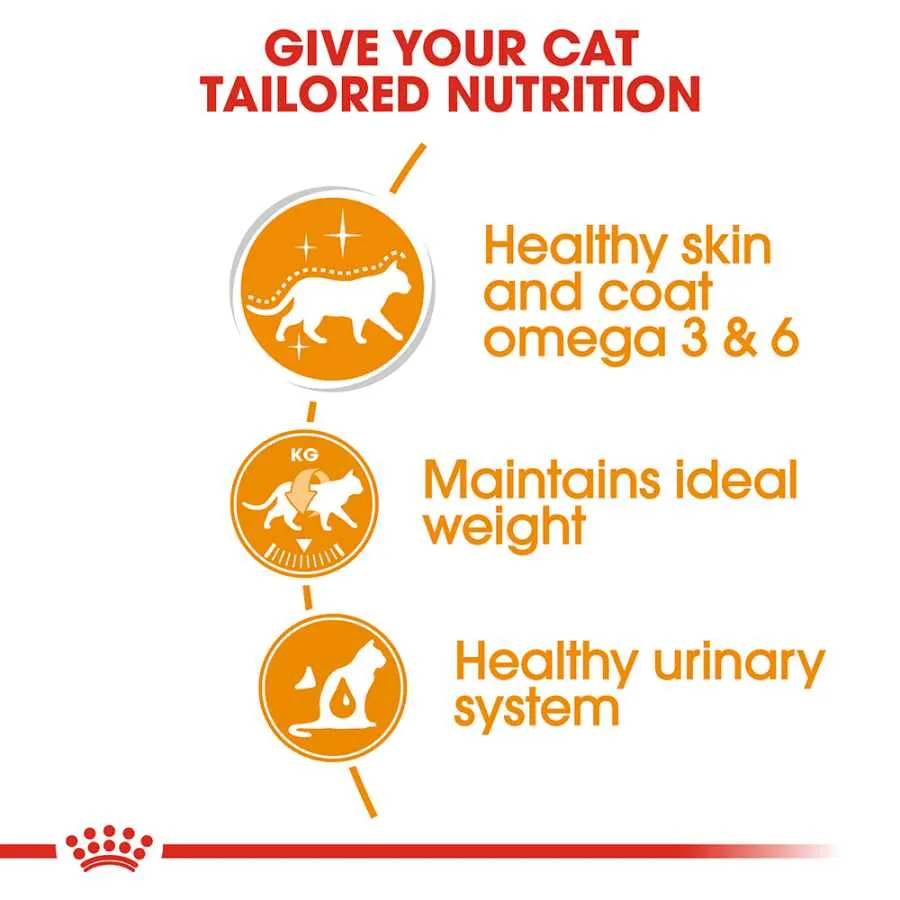 Royal Canin Intense Beauty in Gravy