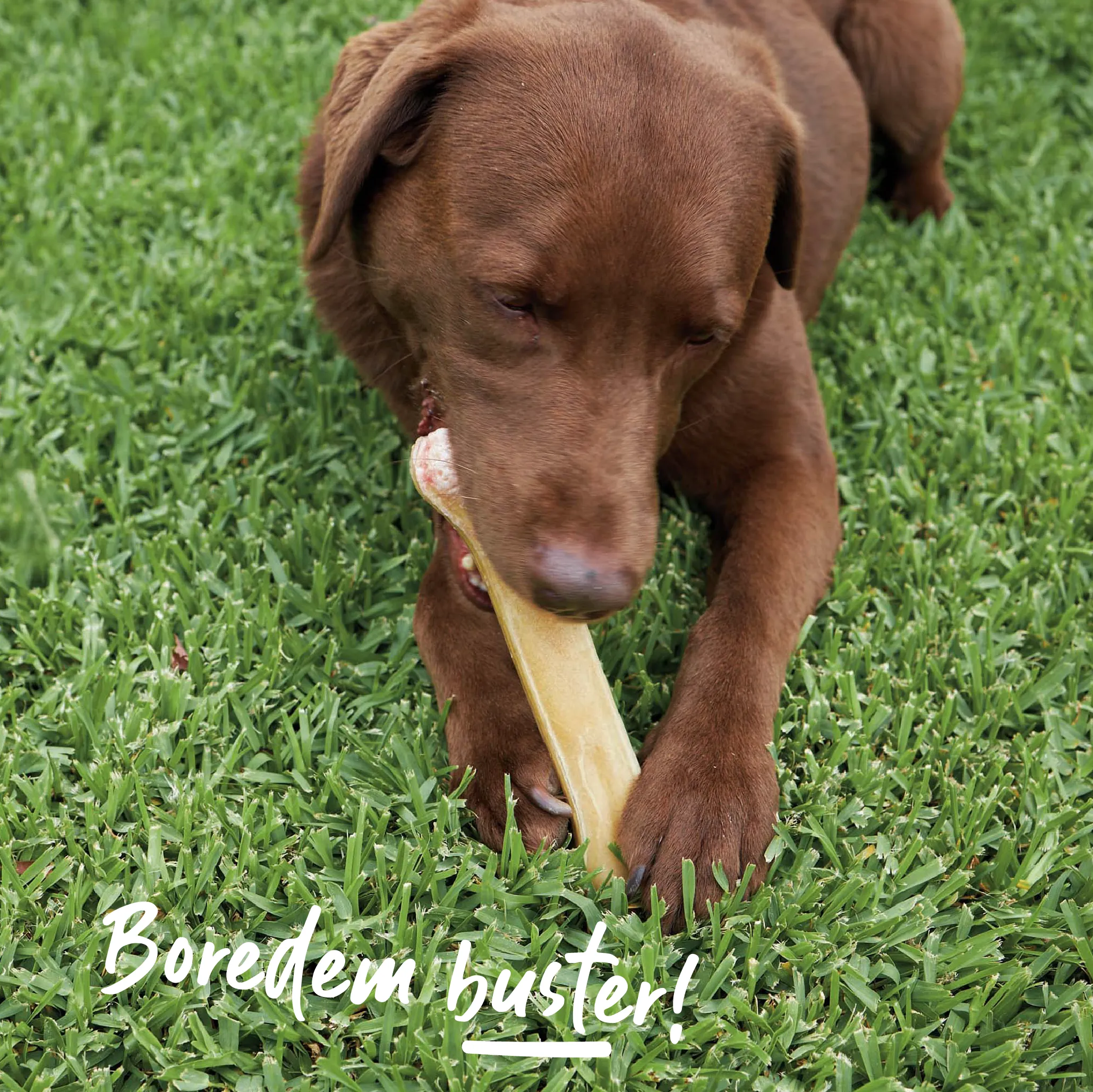 Smoked Mighty Bone