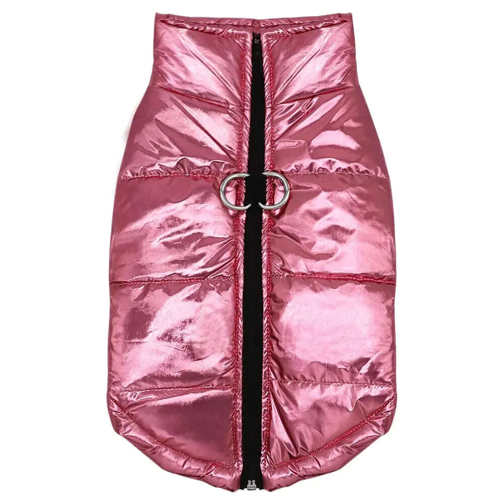 Winter Jacket for Dogs