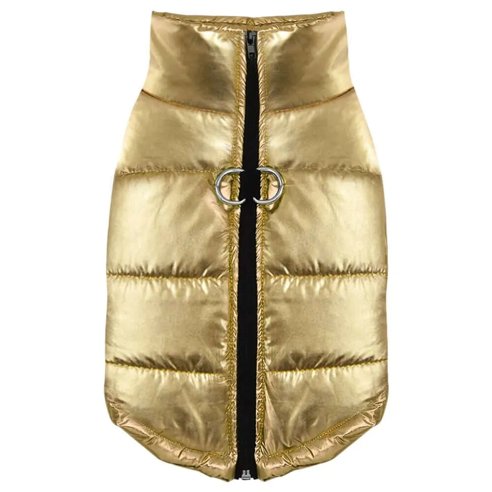 Winter Jacket for Dogs