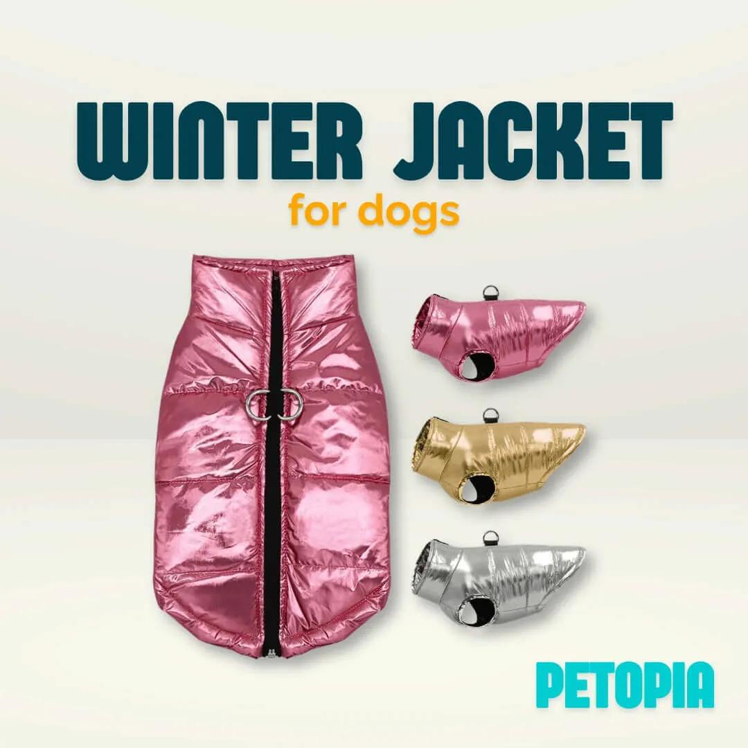 Winter Jacket for Dogs