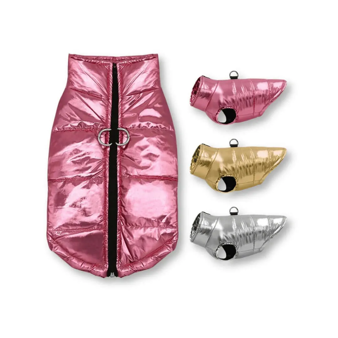 Winter Jacket for Dogs