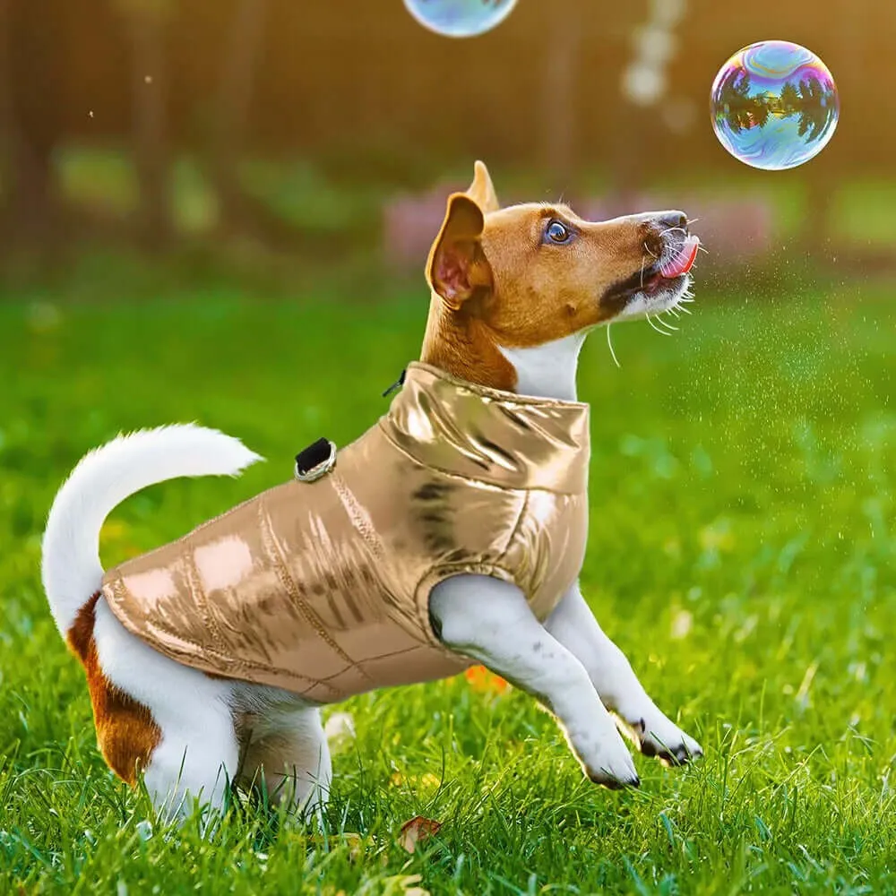 Winter Jacket for Dogs